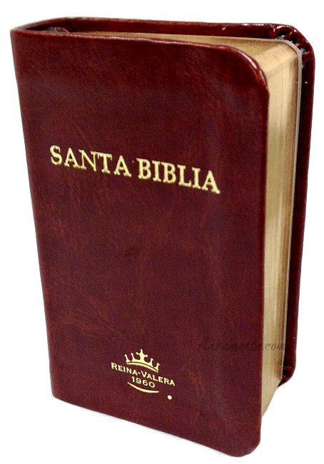 descargar biblia reina valera 1960